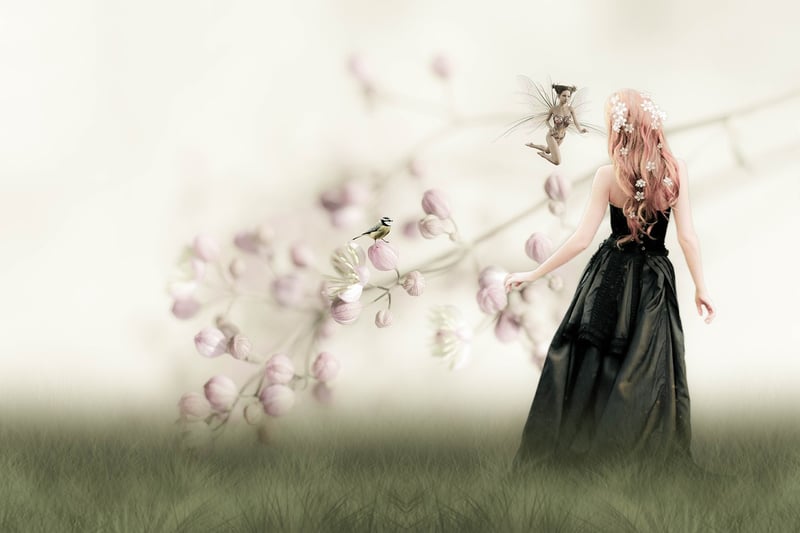 Fairy Gardens